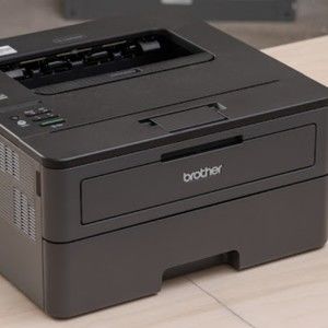 Meet your Posher, Alfie